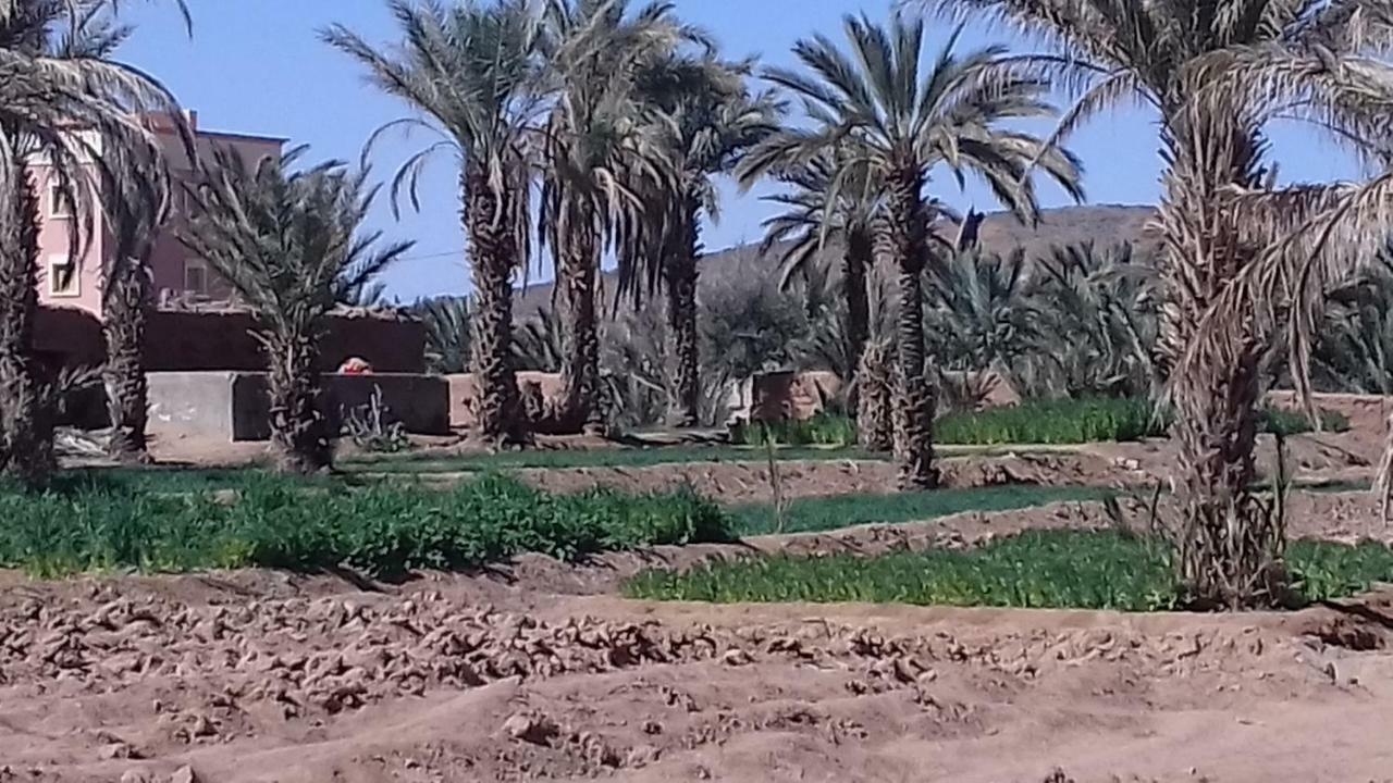 Gite Porte Oasis Errachidia Dış mekan fotoğraf